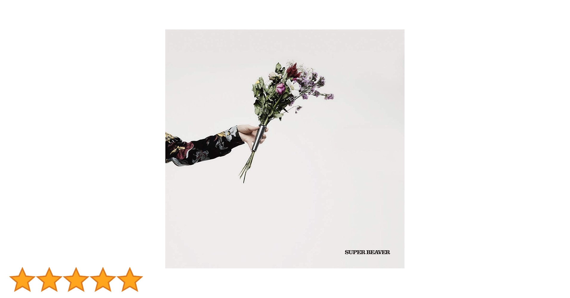 super beaver アイラヴユー＜完全生産限定盤＞最安値 楽天ブックス: アイラヴユー【完全生産限定アナログ盤】 - SUPER